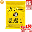 カレー スパイス 仕上げ カレーの恩返し 40g × 1袋 メール便 ほぼ日 コストコ 通販 送料無料