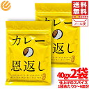 カレー スパイス 仕上げ カレーの恩返し 40g × 2袋 メール便 ほぼ日 コストコ 通販 送料無料