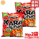 カラムーチョ スティック ベトナム旨辛ホットチリ味 90gx2袋 湖池屋 コストコ 通販 送料無料
