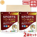 井村屋 スポーツようかん ポケット あずき 90g ×2袋セット