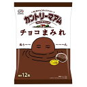 不二家 カントリーマアム チョコまみれ 1袋 12枚入り 122g 送料無料