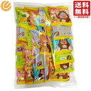 正栄デリシィ サク山チョコ次郎 30袋 ビッグシェアパック 業務用 大袋 個包装 バラエティ ファミリーパック ビスケット チョコ