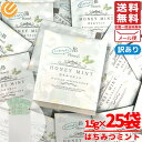 はちみつ紅茶 ミントティー ティーバッグ jb ノンカフェイン 1.5gx25包 蜂蜜紅茶 JAF TEA セイロン 訳あり メール便 コストコ 通販 送料無料