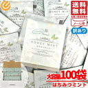 はちみつ紅茶 ミントティー ティーバッグ jb ノンカフェイン 1.5gx100包 蜂蜜紅茶 セイロン 訳あり メール便 コストコ 通販 送料無料
