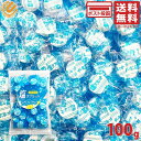 塩分チャージ 塩タブレット ラムネ 塩レモン味 100g シェアパック 塩分補給 塩分タブレット 小袋 個包装 塩分補給