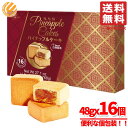 パイナップルケーキ 台湾 鳳梨酥 48gx16個x1箱 イザベラ コストコ 通販 送料無料