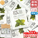 ミントティー ティーバッグ JAF TEA 紅茶 1.5gx100包 ノンカフェイン クールペパーミント 訳あり メール便 コストコ 通販 送料無料