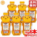 はちみつ 1kg 超え クマさんボトル 750gx6本 ベアージャグ カナダ 蜂蜜 コストコ 通販 送料無料