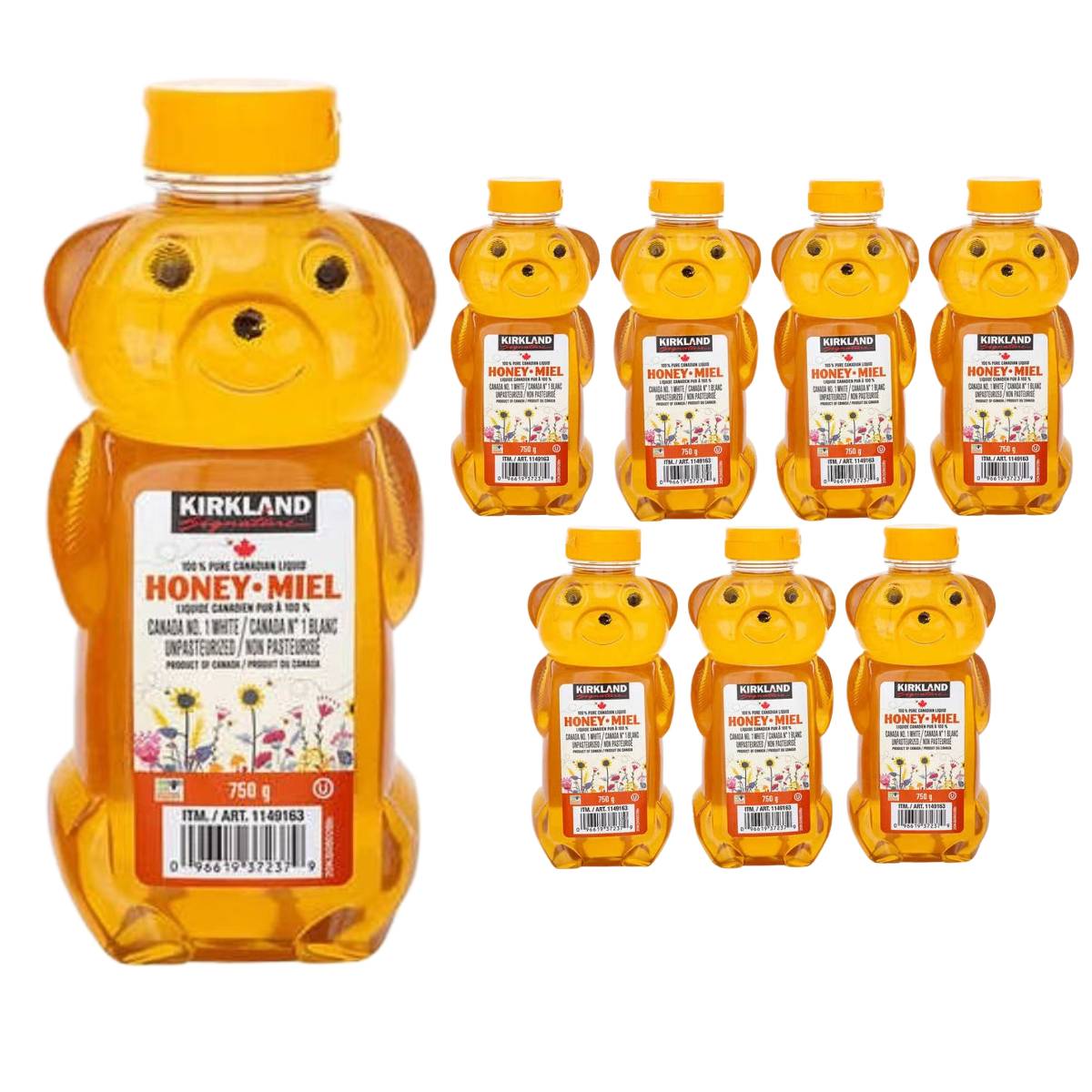 はちみつ 1kg 超え クマさんボトル 750gx9本 ベアージャグ カナダ 蜂蜜 コストコ 通販 送料無料