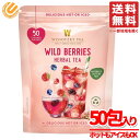 ハーブティー 水出し ワイルドベリーズ ハイビスカス アップル 165g(3.3gx50個)x1袋 WISSOTZKY コストコ 通販 送料無料