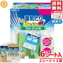 湿気取り クローゼット用 除湿シート ドライ&ドライアップ 6シート入り 白元アース 訳あり メール便 コストコ 通販 送料無料