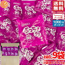 1000円ポッキリ 送料無料 訳あり ぷっちょ ぶどう グミ 山梨アソート 234g(26gx9袋) ご当地 UHA味覚糖 メール便 コストコ 通販