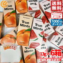 1000円ポッキリ 送料無料 訳あり ミントタブレット 無添加 トゥルーミント 13g×6箱 ピーチ&スイカ 2種セット メール便 コストコ 通販