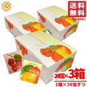 チューインガム 無添加 砂糖不使用 トゥルーガム 2種セット 21gx24個x3箱 ラズベリー&バニラ・マンゴー コストコ 通販 送料無料