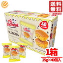 ミスターブラウニー チョコレート ブラウニー ブロンディーズ 大容量 お菓子 個包装 おやつ 1箱40個入 コストコ 通販 送料無料