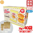 ミスターブラウニー チョコレート ブラウニー ブロンディーズ お菓子 40個入 個包装 おやつ メール便 コストコ 通販 送料無料