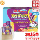 シャーベット スティック フルーツシャーベット 凍らせて アイスキャンディー 16本 ミスターフリーズ ランダムセット コストコ メール便 通販 送料無料