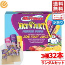 シャーベット スティック フルーツ アイスキャンディー 32本 ミスターフリーズ ランダムセット コストコ メール便 通販 送料無料