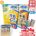 クノール 牛乳でつくる カップスープ 冷製スープ レトルト コーンスープ ポタージュ まとめ買い 24食入 コストコ 訳あり メール便 通販 送料無料