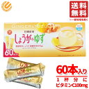 日東紅茶 ゆず 生姜 粉末 国産 粉末茶 ビタミンC しょうが&ゆず 60本×1箱 コストコ 通販 送料無料