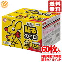貼るカイロ ホッカイロ レギュラー 60パック×1箱 大容量 衣類に貼る アイリスオーヤマ コストコ 通販 送料無料