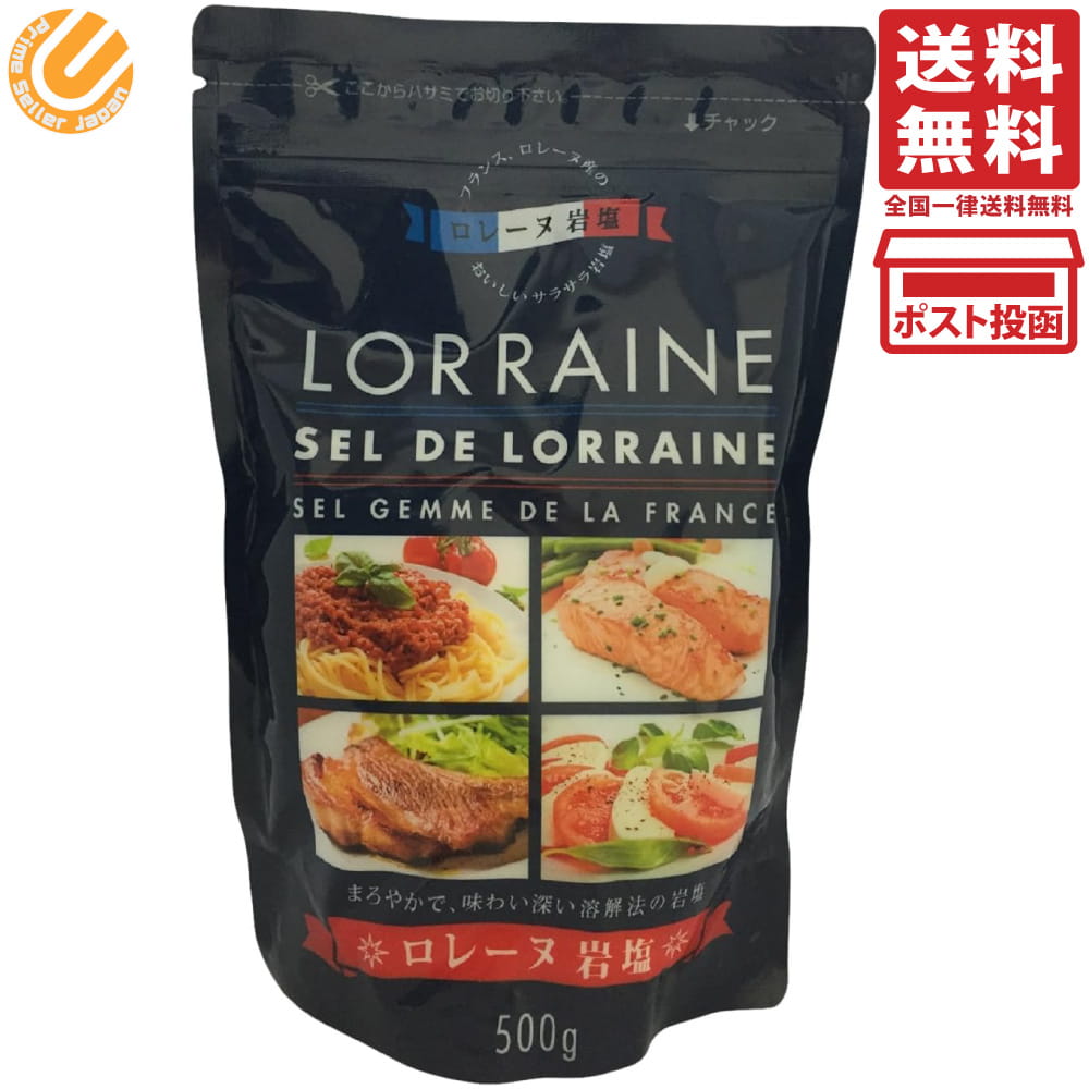 Rakuten - 白松 ロレーヌ岩塩 スタンドパウチ 500g 単品 フランス産 溶解法岩塩 再結晶 旨味 調味塩 料理用