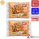 【2個セット】アイリスオーヤマ ぽかぽか家族 ほんわか低温カイロ 貼るミニ 10個 送料無料