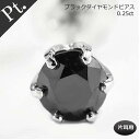 ダイヤ ピアス 0.25ct メンズピアス メンズ 片耳用 PT プラチナ ブラックダイヤ 片耳ピアス プレゼント 誕生日 記念日 プチギフト クリスマス