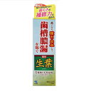 【医薬部外品】生葉 100g 小林製薬 歯みがき