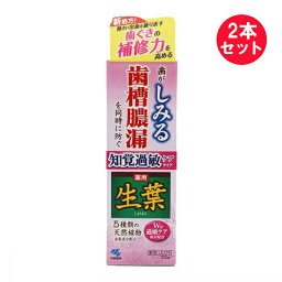 『2本セット』【医薬部外品】生葉 知覚過敏ケアタイプ 100g 小林製薬 歯みがき