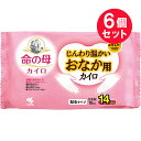 6個セット 【送料無料】命の母カイロ じんわり温かいおなか用カイロ 10個入 小林製薬 寒さ対策