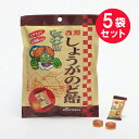 ●商品名改源しょうがのど飴●内容量73g（個包装込み）　×5セット●商品説明「改源しょうがのど飴」は生姜の旨味と爽やかな風味をそのまま生かした、のどにやさしいのど飴です。ビタミンCと羅漢果エキスを配合し、のどをフレッシュにして、スッキリした気分にしてくれます。こんな時に・のどを使い過ぎた時・のどをリフレッシュしたい時・たばこを吸いすぎた時・ドライブの時●原材料名水飴（国内製造）、砂糖、ショウガエキス、ラカンカエキス／甘味料（キシリトール）、香料、ビタミンC、着色料（カラメル）●保存方法直射日光・高温多湿を避け、保存してください。●栄養成分表示／1粒(3.5g)あたりエネルギー：14kcalたんぱく質：0g脂質：0g炭水化物：3.4g食塩相当量：0gビタミンC：6mg●注意・パッケージのイラストは味をイメージしたものです。●販売者カイゲンファーマ株式会社住所：大阪市中央区道修町二丁目5番14号●製造所味覚糖株式会社 奈良工場住所：奈良県大和郡山市今国府町137-5●JAN4987040912349【広告文責】白石薬品株式会社TEL:072-622-8820※リニューアルに伴い、パッケージ・内容等予告なく変更する場合がございます。予めご了承ください。