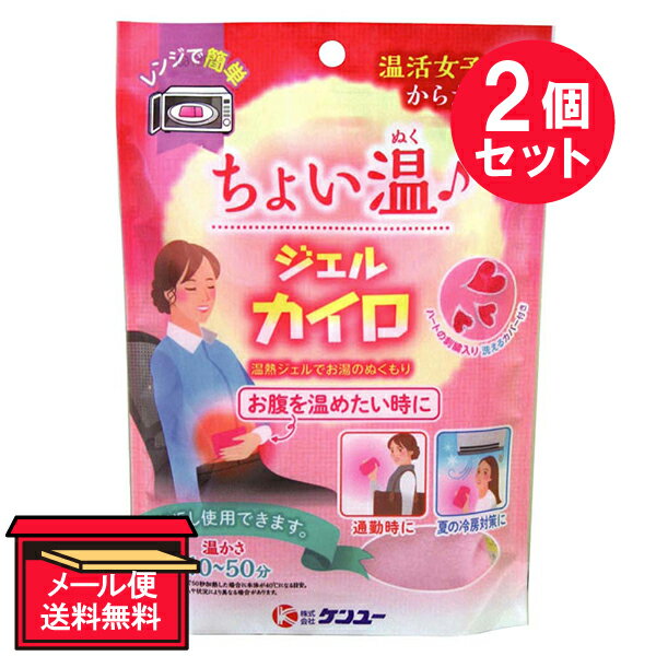 『2個セット』【メール便 送料無料】温活女子のからだケア ちょいぬくジェルカイロ TJ-48P ケンユー 寒さ対策