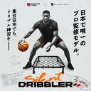 【プロバスケチーム監修】 バスケットボール ドリブル 練習 サイレントドリブラー ブラック レッド バスケ 自主練 ハンドリング ドリブルネット トレーニング ...