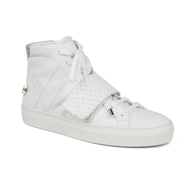 HipStarHighCutˡϥåȥǥ