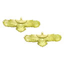 鷲見太郎 Taro Washimi ピアス eagle eg-06/K18 pierce シルバー インディアンジュエリー ブランド アクセサリー プレゼント ...