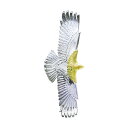 鷲見太郎 Taro Washimi パーツ eagle eg-05/K18・925 hook シルバー インディアンジュエリー ブランド アクセサリー プレゼン...