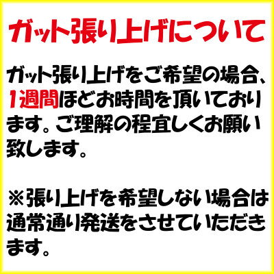 送料無料◆HEAD◆グラビティ チーム エル ...の紹介画像3