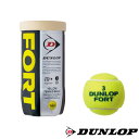 DUNLOP◆フォート2球入り　DFDYL2DOZ　硬式テニスボール　ダンロップ