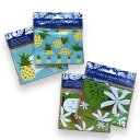 【GREAT LINES HAWAII】GIFT CARD & MONEY HORDER 封筒【ポチ袋】3枚入り パイナップル 水色 モンステラ フラワー ゴー...