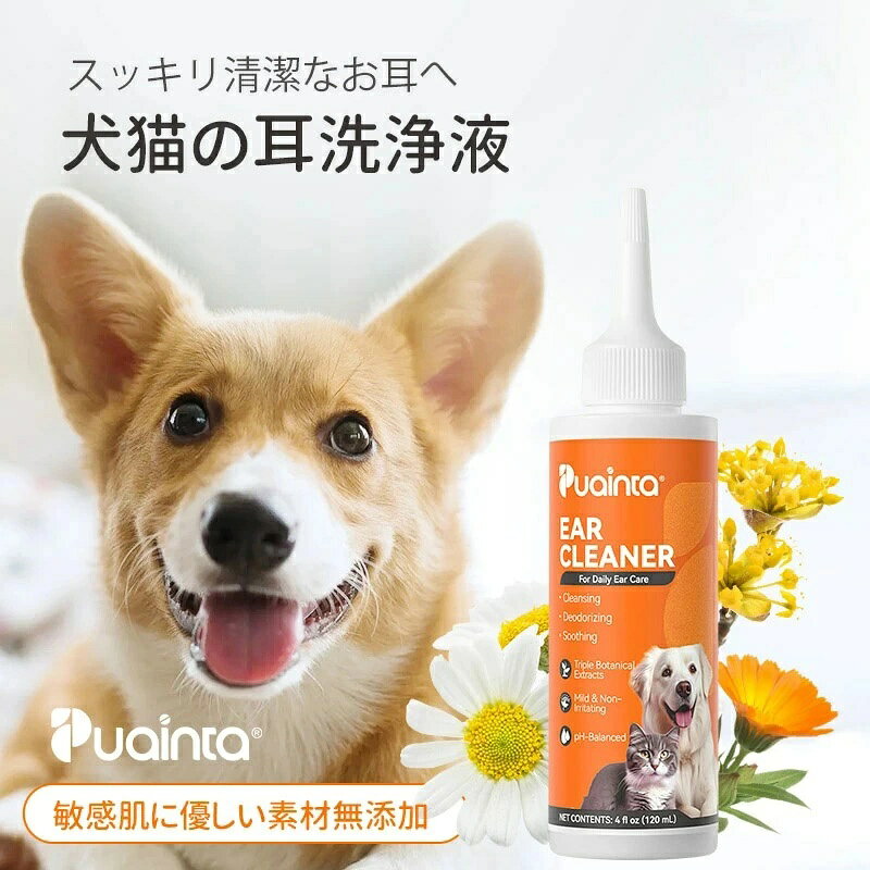 商品紹介 プアインタ イヤークリーナーは、犬・猫の耳垢や皮脂汚れ、気になるニオイの元をやさしく拭き取るための耳用ケアリキッドです。リキッドが耳垢や汚れになじみ、コットンやクリーニングシートで拭き取りやすくします。カモミール花油、ハマメリスエキス、マリーゴールド花油の3種の植物由来成分を配合。犬・猫の定期的な耳掃除や、ご家庭での耳まわりのお手入れにお使いいただけます。こんなワンちゃん・ネコちゃんにおすすめ・耳垢や皮脂汚れが気になる・耳まわりのニオイが気になる・耳の入口がベタつきやすい・垂れ耳や長毛で汚れがたまりやすい・自宅で定期的に耳掃除をしたい・犬と猫の両方に使えるイヤークリーナーを探している 成分水、プロピレングリコール、ジエチルヘキシルスルホコハク酸ナトリウム、PEG-40水添ヒマシ油、エデト酸二ナトリウム、カモミール花油、ハマメリスエキス、マリーゴールド花油 商品の特徴1．耳垢・皮脂汚れを拭き取りやすくリキッドが耳垢や皮脂汚れになじみ、コットンやクリーニングシートでやさしく拭き取りやすくします。2．3種の植物由来成分を配合カモミール花油、ハマメリスエキス、マリーゴールド花油を配合。デリケートな耳まわりを清潔ですこやかに保ちます。3．耳まわりのニオイの元をケア耳垢や皮脂汚れを取り除くことで、耳まわりを清潔に保ち、気になるニオイの元をケアします。4．少量ずつ使いやすいリキッドタイプ耳道に少量ずつ滴下し、耳の付け根をやさしくマッサージしてから拭き取ります。一度に大量の液を流し込む必要はありません。5．犬・猫兼用ワンちゃんにもネコちゃんにもお使いいただけるイヤークリーナーです。多頭飼いのご家庭にもおすすめです。6．定期的なホームケアに週2～3回を目安に、耳の汚れや状態に合わせてお使いください。7．米国製・内容量60mLご家庭で保管しやすく、定期的な耳のお手入れに取り入れやすいサイズです。ご使用方法1．キャップ先端を回し、液が出る状態にしてください。2．ペットの耳道に少量ずつ滴下してください。3．耳の付け根をやさしくマッサージし、液を耳垢や汚れになじませます。4．浮き上がった汚れと余分な液を、コットンまたはクリーニングシートでやさしく拭き取ってください。週2～3回を目安に、耳の状態に合わせてお使いください。 よくあるご質問Q．犬と猫の両方に使用できますか？A．はい。犬・猫のどちらにもお使いいただけます。Q．どのくらいの頻度で使用すればよいですか？A．週2～3回を目安に、耳の汚れや状態に合わせて調整してください。Q．一度にたくさん注入する必要がありますか？A．一度に大量の液を入れる必要はありません。少量ずつ滴下し、耳の付け根をやさしくマッサージしてください。Q．コットンで拭くだけでも使用できますか？A．耳の入口や耳まわりの軽い汚れには、本品を含ませたコットンやクリーニングシートでやさしく拭き取ってください。Q．使用後に液が残った場合はどうすればよいですか？A．余分な液と浮き上がった汚れを、清潔なコットンやクリーニングシートでやさしく拭き取ってください。Q．耳に赤みや傷がある場合も使用できますか？A．強い赤み、腫れ、痛み、傷、膿のような分泌物などが見られる場合は使用せず、獣医師にご相談ください。使用上の注意・ペット用以外の目的には使用しないでください。・綿棒を耳の奥まで入れないでください。・目や口に入らないようご注意ください。・耳に傷、強い赤み、腫れ、痛みなどがある場合は使用しないでください。・使用中または使用後に異常が見られた場合は使用を中止し、獣医師にご相談ください。・ペットおよびお子様の手の届かない場所で保管してください。・直射日光や高温多湿を避けて保管してください。・本品はペット用ケア用品であり、動物用医薬品ではありません。商品情報商品名：プアインタ イヤークリーナー用途：犬・猫用耳まわり清潔ケア内容量：60mL対象：犬・猫原産国：米国 イヤークリーナー 犬 イヤークリーナー 猫 イヤークリーナー 犬猫用イヤークリーナー ペット イヤークリーナー 耳洗浄液 犬 耳洗浄液 猫 耳洗浄液 犬猫 耳洗浄液 耳クリーナー イヤーケア 犬 イヤーケア 猫 イヤーケア ペット用耳ケア 耳のお手入れ 耳用ケアリキッド 犬 耳掃除 猫 耳掃除 犬猫 耳掃除 ペット 耳掃除 耳垢 ケア 犬 耳垢 猫 耳垢 耳垢 掃除 耳垢 クリーナー 耳の汚れ 耳まわり 汚れ 皮脂汚れ 耳 ベタつき 耳のベタつき 耳まわり ベタつき 耳の入口 汚れ 耳穴 掃除 外耳 清潔 耳まわり 清潔 犬 耳 臭い 猫 耳 臭い 耳のニオイ 耳まわり ニオイ 耳 臭い ケア 犬 耳 ニオイ ケア 猫 耳 ニオイ ケア 耳垢 ニオイ 耳のニオイの元 ペット 耳 消臭 耳まわり 清潔ケア 植物由来成分 植物由来 イヤークリーナー カモミール配合 カモミール花油 ハマメリス配合 ハマメリスエキス マリーゴールド配合 マリーゴールド花油 カレンデュラ配合 3種の植物由来成分 植物エキス配合 犬猫用ケア用品 低刺激 イヤークリーナー やさしいイヤークリーナー 耳にやさしい デリケートな耳 使いやすいイヤークリーナー リキッドタイプ 滴下タイプ 少量ずつ使える 拭き取りタイプ コットンで拭き取り 自宅で耳掃除 ホームケア 定期ケア 日常ケア 簡単耳ケア おうち耳ケア 犬用 猫用 犬猫兼用 全犬種 全猫種 小型犬 中型犬 大型犬 子犬 耳ケア 成犬 耳ケア シニア犬 耳ケア 子猫 耳ケア 成猫 耳ケア シニア猫 耳ケア 多頭飼い 垂れ耳 犬 長毛犬 長毛猫 耳が汚れやすい犬 耳が汚れやすい猫 週2回 耳ケア 週3回 耳ケア 定期的な耳掃除 毎日のペットケア お手入れ用品 グルーミング用品 犬 シャンプー後 耳ケア 猫 シャンプー後 耳ケア 散歩後 ケア 梅雨 耳ケア 夏 耳ケア 湿気 耳ケア 垂れ耳 ケア 多頭飼い ケア用品 自宅用イヤークリーナー イヤークリーナー 60ml 耳洗浄液 60ml 犬猫用 60ml アメリカ製 米国製 PUAINTA プアインタ PUAINTA イヤークリーナー プアインタ イヤークリーナー 公式 イヤークリーナー 犬猫兼用 米国製 犬 耳掃除 イヤークリーナー 猫 耳掃除 イヤークリーナー 犬 耳垢 イヤークリーナー 猫 耳垢 イヤークリーナー 犬 耳 臭い イヤークリーナー 猫 耳 臭い イヤークリーナー 犬 耳 ベタつき ケア 猫 耳 ベタつき ケア 犬猫用 耳洗浄液 60ml 犬猫兼用 イヤークリーナー 植物由来 犬 イヤークリーナー 植物由来 猫 イヤークリーナー カモミール 犬 耳ケア ハマメリス 犬 耳掃除 垂れ耳 犬 イヤークリーナー 長毛猫 耳掃除 自宅 犬 耳掃除 自宅 猫 耳掃除 コットンで使える イヤークリーナー 定期ケア 犬猫 耳洗浄液商品紹介 プアインタ イヤークリーナーは、犬・猫の耳垢や皮脂汚れ、気になるニオイの元をやさしく拭き取るための耳用ケアリキッドです。リキッドが耳垢や汚れになじみ、コットンやクリーニングシートで拭き取りやすくします。カモミール花油、ハマメリスエキス、マリーゴールド花油の3種の植物由来成分を配合。犬・猫の定期的な耳掃除や、ご家庭での耳まわりのお手入れにお使いいただけます。こんなワンちゃん・ネコちゃんにおすすめ・耳垢や皮脂汚れが気になる・耳まわりのニオイが気になる・耳の入口がベタつきやすい・垂れ耳や長毛で汚れがたまりやすい・自宅で定期的に耳掃除をしたい・犬と猫の両方に使えるイヤークリーナーを探している 成分水、プロピレングリコール、ジエチルヘキシルスルホコハク酸ナトリウム、PEG-40水添ヒマシ油、エデト酸二ナトリウム、カモミール花油、ハマメリスエキス、マリーゴールド花油 商品の特徴1．耳垢・皮脂汚れを拭き取りやすくリキッドが耳垢や皮脂汚れになじみ、コットンやクリーニングシートでやさしく拭き取りやすくします。2．3種の植物由来成分を配合カモミール花油、ハマメリスエキス、マリーゴールド花油を配合。デリケートな耳まわりを清潔ですこやかに保ちます。3．耳まわりのニオイの元をケア耳垢や皮脂汚れを取り除くことで、耳まわりを清潔に保ち、気になるニオイの元をケアします。4．少量ずつ使いやすいリキッドタイプ耳道に少量ずつ滴下し、耳の付け根をやさしくマッサージしてから拭き取ります。一度に大量の液を流し込む必要はありません。5．犬・猫兼用ワンちゃんにもネコちゃんにもお使いいただけるイヤークリーナーです。多頭飼いのご家庭にもおすすめです。6．定期的なホームケアに週2～3回を目安に、耳の汚れや状態に合わせてお使いください。7．米国製・内容量60mLご家庭で保管しやすく、定期的な耳のお手入れに取り入れやすいサイズです。ご使用方法1．キャップ先端を回し、液が出る状態にしてください。2．ペットの耳道に少量ずつ滴下してください。3．耳の付け根をやさしくマッサージし、液を耳垢や汚れになじませます。4．浮き上がった汚れと余分な液を、コットンまたはクリーニングシートでやさしく拭き取ってください。週2～3回を目安に、耳の状態に合わせてお使いください。 よくあるご質問Q．犬と猫の両方に使用できますか？A．はい。犬・猫のどちらにもお使いいただけます。Q．どのくらいの頻度で使用すればよいですか？A．週2～3回を目安に、耳の汚れや状態に合わせて調整してください。Q．一度にたくさん注入する必要がありますか？A．一度に大量の液を入れる必要はありません。少量ずつ滴下し、耳の付け根をやさしくマッサージしてください。Q．コットンで拭くだけでも使用できますか？A．耳の入口や耳まわりの軽い汚れには、本品を含ませたコットンやクリーニングシートでやさしく拭き取ってください。Q．使用後に液が残った場合はどうすればよいですか？A．余分な液と浮き上がった汚れを、清潔なコットンやクリーニングシートでやさしく拭き取ってください。Q．耳に赤みや傷がある場合も使用できますか？A．強い赤み、腫れ、痛み、傷、膿のような分泌物などが見られる場合は使用せず、獣医師にご相談ください。使用上の注意・ペット用以外の目的には使用しないでください。・綿棒を耳の奥まで入れないでください。・目や口に入らないようご注意ください。・耳に傷、強い赤み、腫れ、痛みなどがある場合は使用しないでください。・使用中または使用後に異常が見られた場合は使用を中止し、獣医師にご相談ください。・ペットおよびお子様の手の届かない場所で保管してください。・直射日光や高温多湿を避けて保管してください。・本品はペット用ケア用品であり、動物用医薬品ではありません。商品情報商品名：プアインタ イヤークリーナー用途：犬・猫用耳まわり清潔ケア内容量：60mL対象：犬・猫原産国：米国 イヤークリーナー 犬 イヤークリーナー 猫 イヤークリーナー 犬猫用イヤークリーナー ペット イヤークリーナー 耳洗浄液 犬 耳洗浄液 猫 耳洗浄液 犬猫 耳洗浄液 耳クリーナー イヤーケア 犬 イヤーケア 猫 イヤーケア ペット用耳ケア 耳のお手入れ 耳用ケアリキッド 犬 耳掃除 猫 耳掃除 犬猫 耳掃除 ペット 耳掃除 耳垢 ケア 犬 耳垢 猫 耳垢 耳垢 掃除 耳垢 クリーナー 耳の汚れ 耳まわり 汚れ 皮脂汚れ 耳 ベタつき 耳のベタつき 耳まわり ベタつき 耳の入口 汚れ 耳穴 掃除 外耳 清潔 耳まわり 清潔 犬 耳 臭い 猫 耳 臭い 耳のニオイ 耳まわり ニオイ 耳 臭い ケア 犬 耳 ニオイ ケア 猫 耳 ニオイ ケア 耳垢 ニオイ 耳のニオイの元 ペット 耳 消臭 耳まわり 清潔ケア 植物由来成分 植物由来 イヤークリーナー カモミール配合 カモミール花油 ハマメリス配合 ハマメリスエキス マリーゴールド配合 マリーゴールド花油 カレンデュラ配合 3種の植物由来成分 植物エキス配合 犬猫用ケア用品 低刺激 イヤークリーナー やさしいイヤークリーナー 耳にやさしい デリケートな耳 使いやすいイヤークリーナー リキッドタイプ 滴下タイプ 少量ずつ使える 拭き取りタイプ コットンで拭き取り 自宅で耳掃除 ホームケア 定期ケア 日常ケア 簡単耳ケア おうち耳ケア 犬用 猫用 犬猫兼用 全犬種 全猫種 小型犬 中型犬 大型犬 子犬 耳ケア 成犬 耳ケア シニア犬 耳ケア 子猫 耳ケア 成猫 耳ケア シニア猫 耳ケア 多頭飼い 垂れ耳 犬 長毛犬 長毛猫 耳が汚れやすい犬 耳が汚れやすい猫 週2回 耳ケア 週3回 耳ケア 定期的な耳掃除 毎日のペットケア お手入れ用品 グルーミング用品 犬 シャンプー後 耳ケア 猫 シャンプー後 耳ケア 散歩後 ケア 梅雨 耳ケア 夏 耳ケア 湿気 耳ケア 垂れ耳 ケア 多頭飼い ケア用品 自宅用イヤークリーナー イヤークリーナー 60ml 耳洗浄液 60ml 犬猫用 60ml アメリカ製 米国製 PUAINTA プアインタ PUAINTA イヤークリーナー プアインタ イヤークリーナー 公式 イヤークリーナー 犬猫兼用 米国製 犬 耳掃除 イヤークリーナー 猫 耳掃除 イヤークリーナー 犬 耳垢 イヤークリーナー 猫 耳垢 イヤークリーナー 犬 耳 臭い イヤークリーナー 猫 耳 臭い イヤークリーナー 犬 耳 ベタつき ケア 猫 耳 ベタつき ケア 犬猫用 耳洗浄液 60ml 犬猫兼用 イヤークリーナー 植物由来 犬 イヤークリーナー 植物由来 猫 イヤークリーナー カモミール 犬 耳ケア ハマメリス 犬 耳掃除 垂れ耳 犬 イヤークリーナー 長毛猫 耳掃除 自宅 犬 耳掃除 自宅 猫 耳掃除 コットンで使える イヤークリーナー 定期ケア 犬猫 耳洗浄液