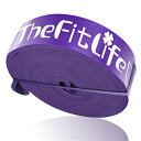 TheFitLife トレーニングチューブ 懸垂チューブ 懸垂補助 トレーニングバンド 筋トレチューブ - 天然ラテックス製 懸垂アシスト フィ