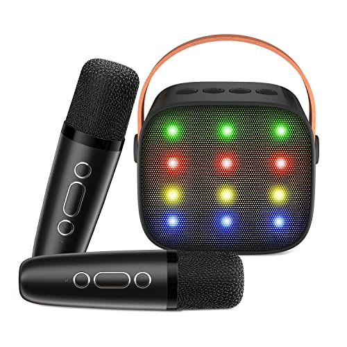カラオケマイク Bluetoothマイク カラオケセット 無線マイク 2本 ワイヤレス スピーカー ステレオ対応 家庭用 カラオケセット USB-C