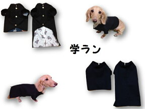 犬用学ラン短ラン長ランどっちもかっこいいよ　　犬服