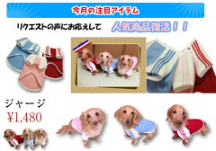 https://thumbnail.image.rakuten.co.jp/@0_mall/puchidachchu/cabinet/4rk1e.jpg