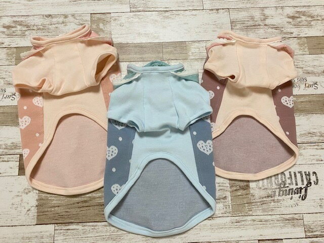 �ϡ������ե�ե�ա����դ�T����ġ����������͵�����������Υȥ졼�ʡ���T�����