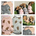 くまさんTシャツご希望でお袖にお名前入ります　Tシャツ　犬服　人気わんこ服　わんちゃんのお名前入ります　犬のトレーナー　Tシャツ