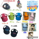 大型犬用名前入り帽子3L,4L、5Lサイ