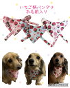 いちご柄名前入りバンダナミニチュアダックス いちご狩り いちご柄 ゴールド スタイ プレゼント 犬の服 名前入り お揃いのお帽子もあります オリジナル