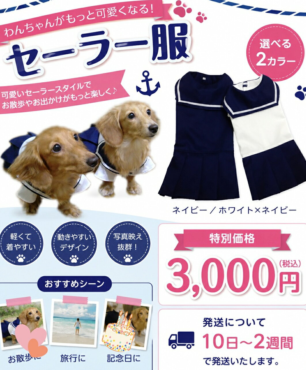セーラー服わんちゃんのセーラー服犬...